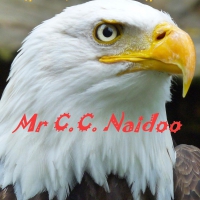 Mr CC Naidoo